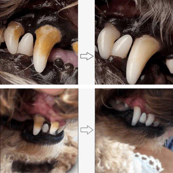 Caneta com Gel Clareador Dental - 7 Patas